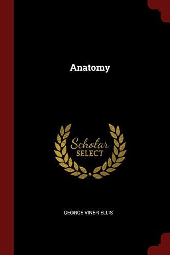 Anatomy Paperback – Import