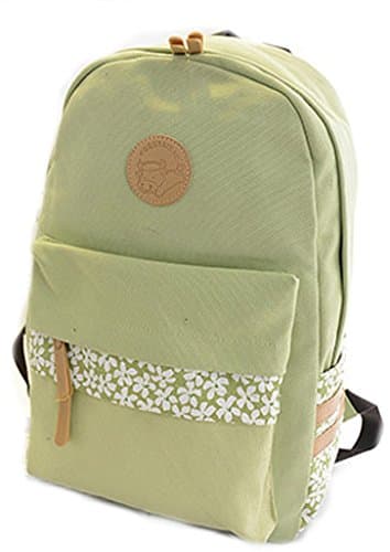 Fresh Type Girls Double Shoulders Backpack Nice for School Student