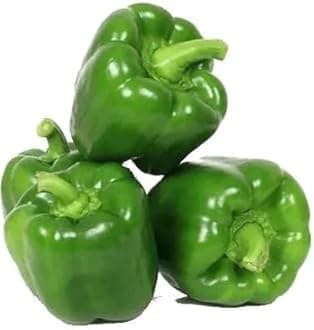 Willvine Organic Green Capsicum-HQ-22Y