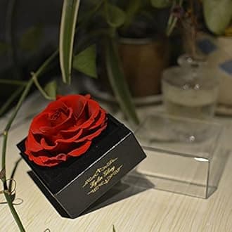 Fresh Cut Flower Preserved Rose for Women Mom Wife Girlfriend - Flower Gift Real Rose Decor for Mother's Day Valentine's Day Wedding Party Celebration Birthday Anniversary (Red)