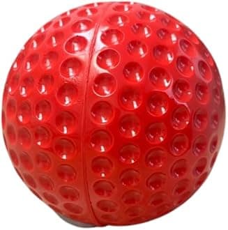 Gunn & Moore GM Cricket Training & Practice Balls