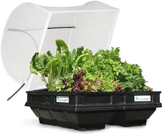 Raised Garden Bed - Self Watering Polypropylene Container Garden Kit With Protective Cover, Easily Elevated To Waist Height, 10 Years Warranty (Medium)