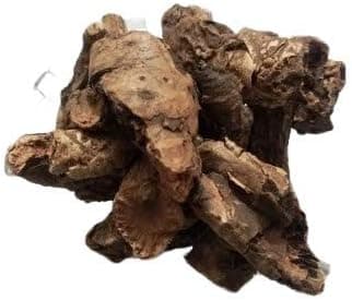 IndianJadiBooti Pashanbheda Roots, 100g