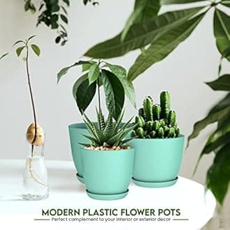 Utopia Home - Plant Pots Indoor with Drainage - 7/6.6/6/5.3/4.8 Inches Flower Pots for Indoor Planter - 5 Pack Plastic Planters - Ideal for Stocking Stuffers or Home Christmas Decorations - Aqua