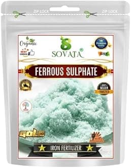 Ferrous Sulphate, Powerful Essentail Organic Fertilizer For Overall Healthy And Fast Growth of All Plants. (400 gm),Granule
