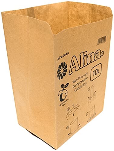 Alina 10L Paper Bag