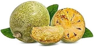 SANJU Live Bel Patra, Indian Bel (Aegle marmelos) Beal fruit Plant Outdoor PLANT