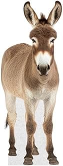 Donkey - Life Size Cardboard Cutout Standup People with Support Standee | Animals -