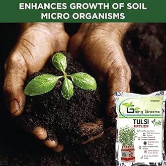 Going Greens Tulsi Fertilizer for Plants I Tulsi Plant Fertilizer for Pot Plants I Tulsi Plant Growth Supplement I 200 GMS