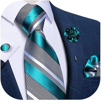 DiBanGu Silk Ties for Men Necktie and Lapel Pin Brooch Set Formal Woven Paisley Plaid Striped Solid Tie Wedding Party