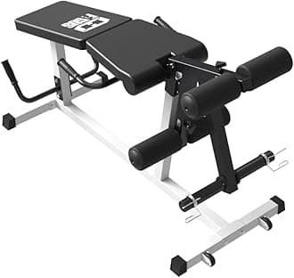 Leg Extension and Leg Curl Machine,Seated Leg Extension and Lying Curl Machine for Home Gym,Leg Press Bench Fit for Both 1'' and 2'' Weight Plates