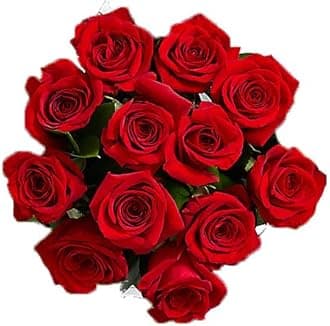 Farm Direct Red Roses | 200 Fresh Red Ecuadorian Roses