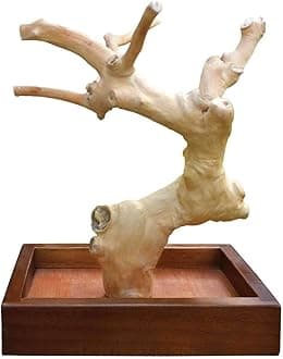 Prevue Pet Products Coffeawood Tree Mini Table Top (X-Small)