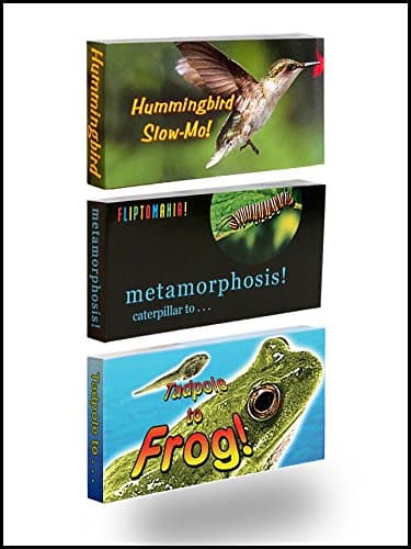Fliptomania Nature Flipbook 3 Pack