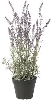 Artificial potted plant, in/outdoor/Lavender lilac, 12 cm
