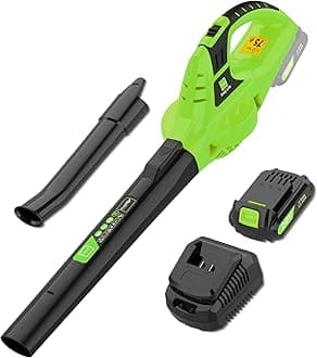 21V Leaf Blower Cordless | Handheld Electric Lightweight Blower with 2.0Ah Rechargeable Battery & Fast Charger | Adjustable Speeds, Portable Design for Lawn, Patio, Yard, Sidewalk Cleaning