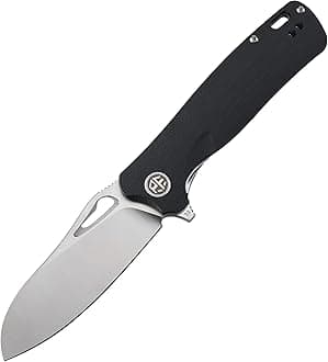 PF868 Bunta,3.35" D2 Satin Blade,146g G10 Handle Flipper Folding knife (Black G10, Satin)