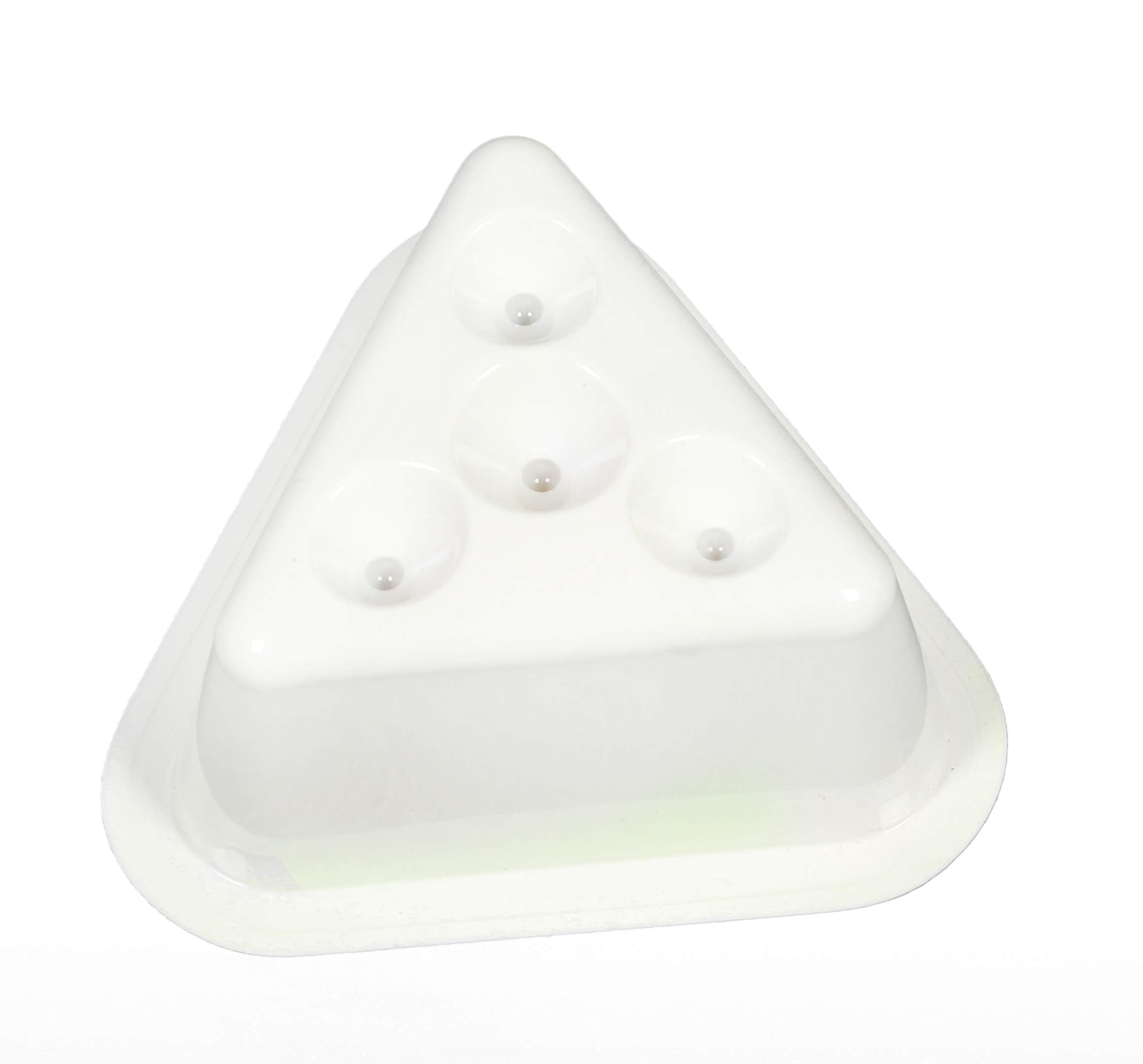 Fruit Fly Traps - 12 Traps