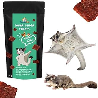 Chicken & Apple Suger Glider Treat | Travel Friendly Pack | Protein Rich | Great Antioxidants | Crunchy Healthy Snacks | 30g