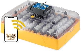 Ovation 56 EX Connect