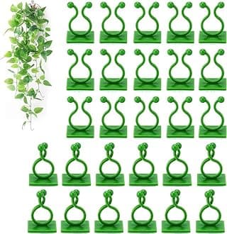 TASMAX money plant holder plant support clips plant clips for climbers money plant clips for wall support climber support for plants climbing clips for plants hooks for wall creeper climb clip PACK 50