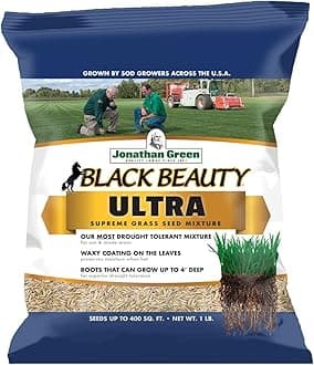 Jonathan Green Black Beauty Ultra Grass Seed, 1-Pound