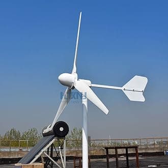 1000W 2000W 3000W Horizontal Wind Turbine 48v 96v 110V 120V 220V Generator for Home Use Free Energy Wind Power Windmill (110V, 3000W)