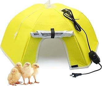 Large Chick Brooder Heating Plate Chick Brooder Box 21.6" Heat up to 50 Chicks, Chick Warmer Chicken Coop Heater Poultry Brooder for Chick Duckling Quail Goose Bird Hatchling