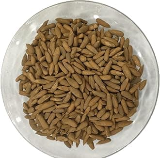 Pine Nuts In Shells- Chilgoza - premium Quality, Fresh Pine nuts (500)