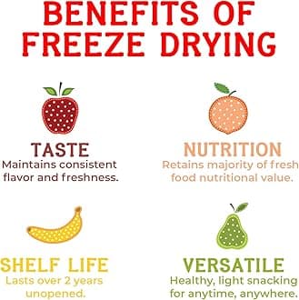 Nature’s Turn Freeze-Dried Mixed Berry Crisps – Healthy, Gluten-Free, Crispy & Delicious, Plant-Based Snack, Ideal for Cereal, Smoothies, School Lunches, & On-the-Go, Bags of 2 (1.2 oz Each)