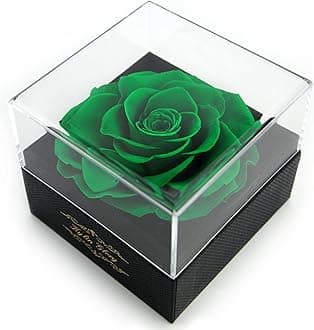 Kylin Glory Fresh Cut Flower Preserved Rose for Women Mom Wife Girlfriend - Flower Gift Real Rose Decor for Mother's Day Valentine's Day Wedding Party Celebration Birthday Anniversary (Green)