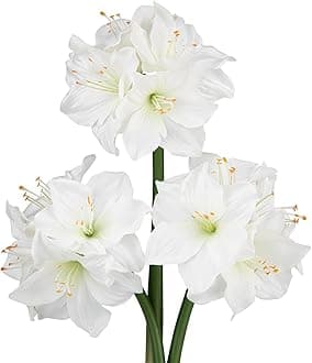Oairse 3PCS Amaryllis Artificial Flowers 17.3 Inch Faux Amaryllis Lily Flowers Stems with 4 Heads Silk Floral Bouquet for Christmas Home Room Table Centerpiece Wedding Party Arrangements