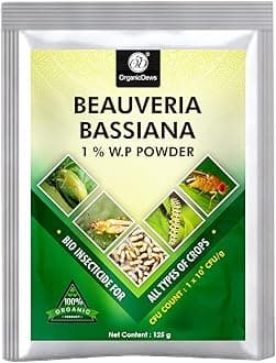 OrganicDews Beauveria Bassiana (1x10^8 CFU/g) Bio (125 g) for Plants