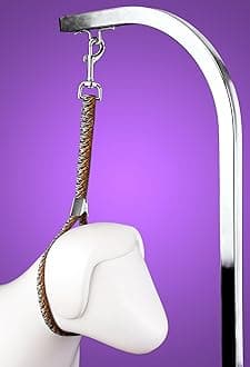 Country Brook Petz Dog & Pet 5/8 Inch Grooming Loop with Spring Loaded Clip - 18 Unique Designs for Grooming and Vet Tables (Bengal Tiger Stripes)