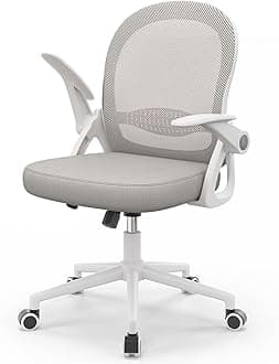 naspaluro Home Office Chair Ergonomic Desk Chair Swivel Computer Chair Mid-Back Mesh Chair with Flip-up Armrests and Lumbar Support for Home/Office - Gray