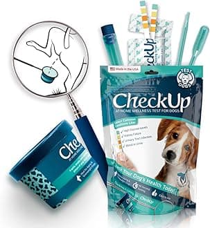 Kit4Cat CheckUp Kit at Home Wellness Test for Dogs - Telescopic Pole, Detachable Cup for Urine Collection and Testing Strips for Detection of Diabetes, Kidney Conditions, UTI and Blood in the Urine