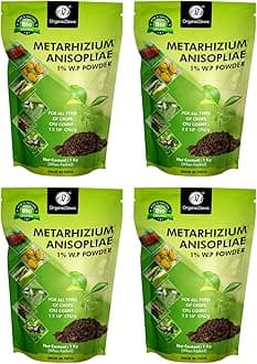 Metarhizium anisopliae 4 Kg (1x10^8 CFU/g) for Plants