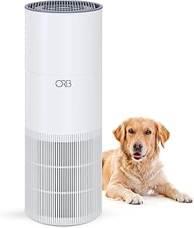 ORB 2 in 1 Air Purifier and Humidifier, 3 Stage Air Cleaning, Up to 300 Sqft, White, Plastic, Auto Mode, Humidifier Filter Washable