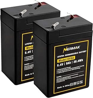 6V 6Ah Lithium LiFePO4 Battery 2 Pack, 2000+ Cycles Rechargeable Lithium Iron Phosphate Battery for Emergency Light, Game Feeder, Kids Ride On Car and More with BMS (F1 Terminals)