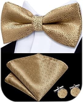 Dubulle Mens Paisley Striped Bowtie Set Pre-tied Bowtie for Men and Pocket Square Set Wedding Business