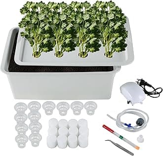 MAOPINER Indoor Hydroponic Grow Kit with Bubble Stone, 12 Sites (Holes) Bucket, Air Pump, Sponges - Best Indoor Herb Garden - Grow Fast at Home