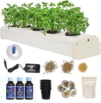 City Greens Hydroponic Kit for Home – 5-Plants DWC (Deep Water Culture) System for Beginners | Grow Any Indian or Exoctics Leafy Greens & Herbs Like Spinach, Coriander, Lettuce