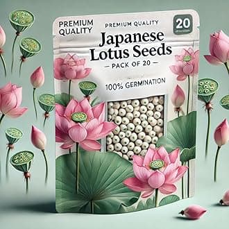 Ezeegrow Japanese Lotus Seed High Germination Rate Premium Pack of 20 for Planting in Water Indoor Lotus Kamal Gatta Flower Seed Home Gardening Live Water Indoor Outdoor Home Balcony Goddess Lakshmi
