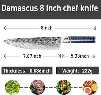 Chef Knife 8 Inch, Damascus Chef Knife Japanese VG10 Kitchen Knife Sharpest 67-Layer High Carbon Stainless Steel knife, Pro Cooking Knife, Meat Cutting Gyuto Chef Knife with Sheath
