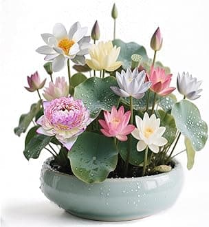 100pcs Lotus Seeds Mixed Colors, 10 Unique Varieties Lotus Seeds for Planting, Includes Detailed Planting Guide, Perfect for Ponds, Water Gardens & Gifts, High Germination, Easy to Grow