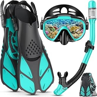 – Snorkel Set Adult with Flippers, Anti-Fog Diving Set, Dry Snorkel, Adjustable Flippers, Snorkelling Packages for Men and Women