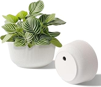 T4U 8 Inch Self Watering Pots for Indoor Plants, 2 Pack Plant Pots, Durable Plastic Self Watering Planter for Indoor Plants (2 Pack, 8", White)