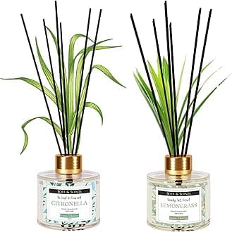 Soul & Scents Citronella & Lemongrass Reed Diffuser Set - 120ml with 6 Fiber Sticks Each | Stress Relief & Aromatherapy | Scented Air Freshener for Home, Bedroom, Bathroom & Office | Pack of 2