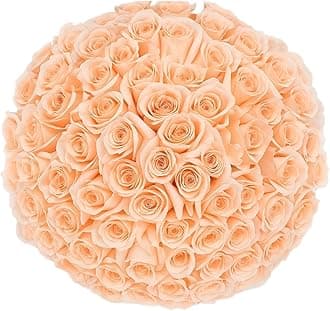 GlobalRose 100 Peach Roses Bouquet - Responsibly Sourced Roses Fresh Flowers - Hand-Picked Flowers Fresh Bouquet for Graduation, Anniversary, Birthday & Special Occasions (4 Bunches of 25 Stems)