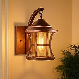 Antique Copper Elegant Swing Arm Metal Wall Light Lamp with Glass Shade Sconce Lighting Mounted Fixture Decorative Wall Lamp Perfect for Living Room, Bedroom, Hallway (Without Bulb)
